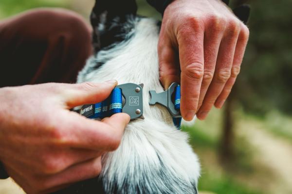 Ruffwear Top Rope Collar Blue Pool 36-51 cm Ruffwear Top Rope Collar Blue Pool 36-51 cm